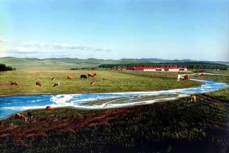 御道口草原森林風景區(qū)